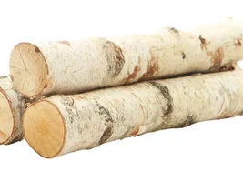 Are these logs safe?