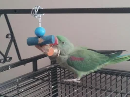 Pictures and updates!