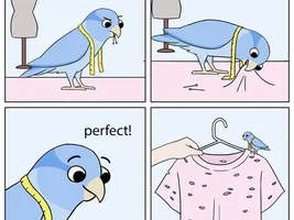 The best Bird meme!!