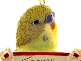 What are you getting your bird for the winter holidays?