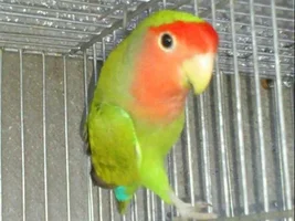 Help! about mutation