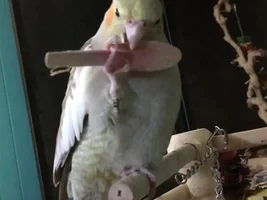 Learning to hold things!