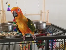 Meet Miss Mango and I ! + Nutrition advice?