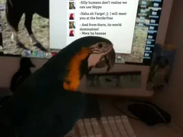 Foraging Toy!