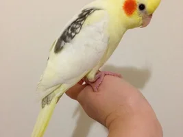 New and excited