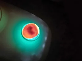 Incubation help!