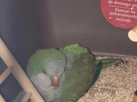 Please help!