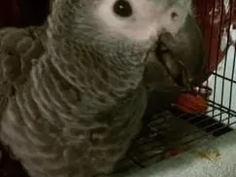 look at this baby!