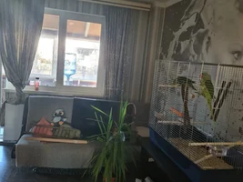New Alexandrine owner