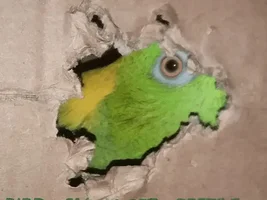 Help with Terrified Baby Amazon