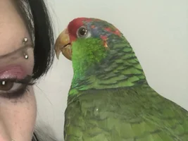 Dealing with the loss of my life-long best friend