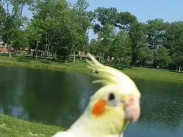 Losing my best friend
