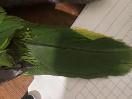 Hey there!