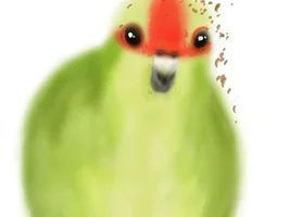 Parrot names taken literally