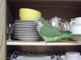 Ralph Celebrates a Dozen Years