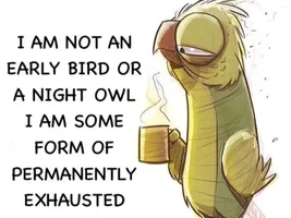 The best Bird meme!!