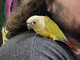 Photos from visit with my baby today