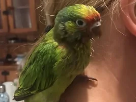 September 2025 POTM Contest!! 💖