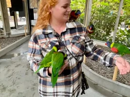 Me feeding a bunch of Lorikeets!