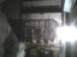 Mystery cage