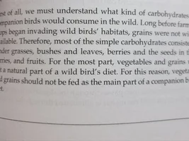 Cockatiel diet and health (In need of help!)