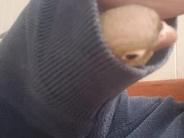 GCC using sleeves as tunnels?