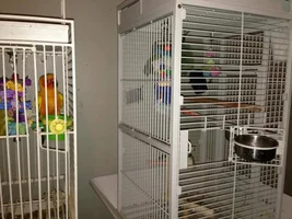 Post up pictures of conures cages(: