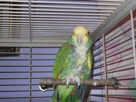 Terry57's Old Photo Album