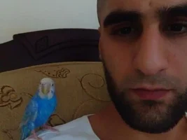 Found a parakeet , will she survive?