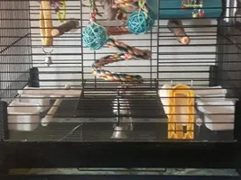 Prevue Stainless Steel Cages??