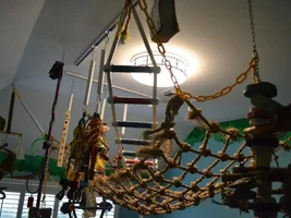 cool  way to hang toys