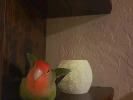 Jan 2026! Photo of the Month Contest
