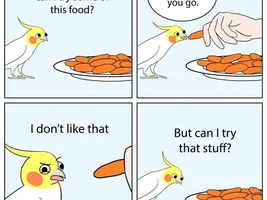 Parrot jokes/ memes