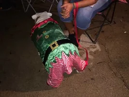Canelo Helped Last Night