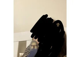 Wanted advice