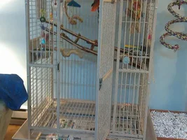 Cage for sale!!!