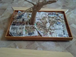 DIY: Java tree seed skirt