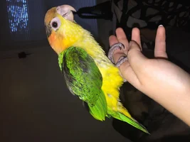 Our new baby!!
