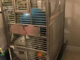 XL Stainless Steel BirdCage for Sale - NJ