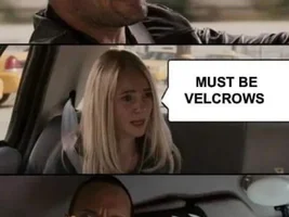 The best Bird meme!!