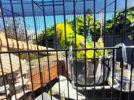 Wet birdies!