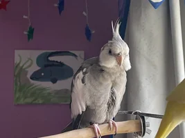 New baby!