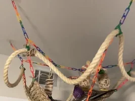 Hanging play areas!