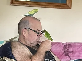 What's Your Parrot Up To Today?