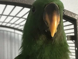 Hello Everyone