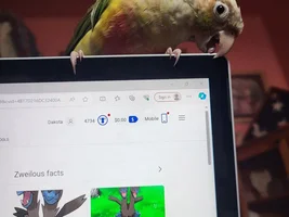 Teeko
