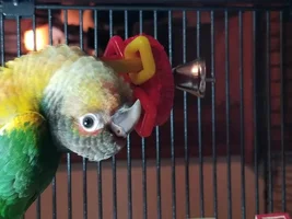 A new pic of Petey