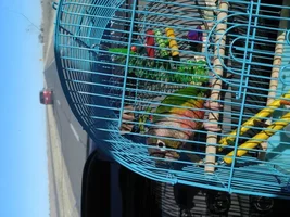 Pictures. :)