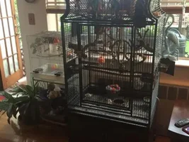 Maxx gets a new companion