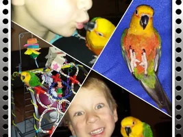 Happy 1st hatch day Razzbin!